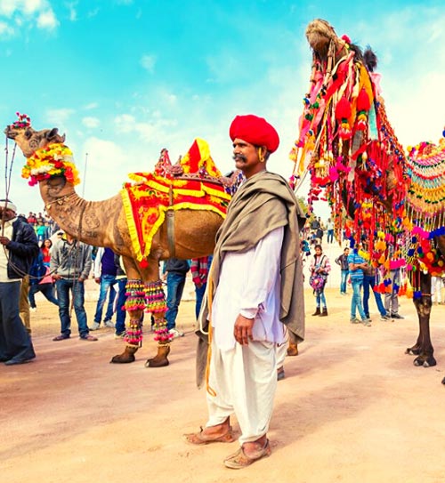 5-Day Jaipur Pushkar Ranthambore Tour