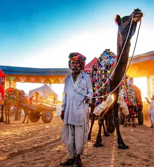 7-Days Luxury Golden Triangle with Ranthambore & Pushkar