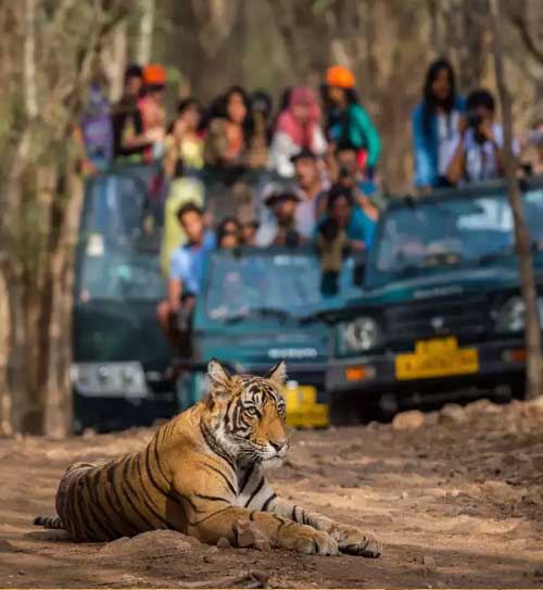 6 Days Luxury Golden Triangle Tour With Ranthambore